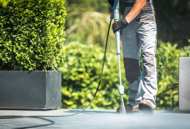 Best Brick and Stone Cleaning in Eyota, MN
